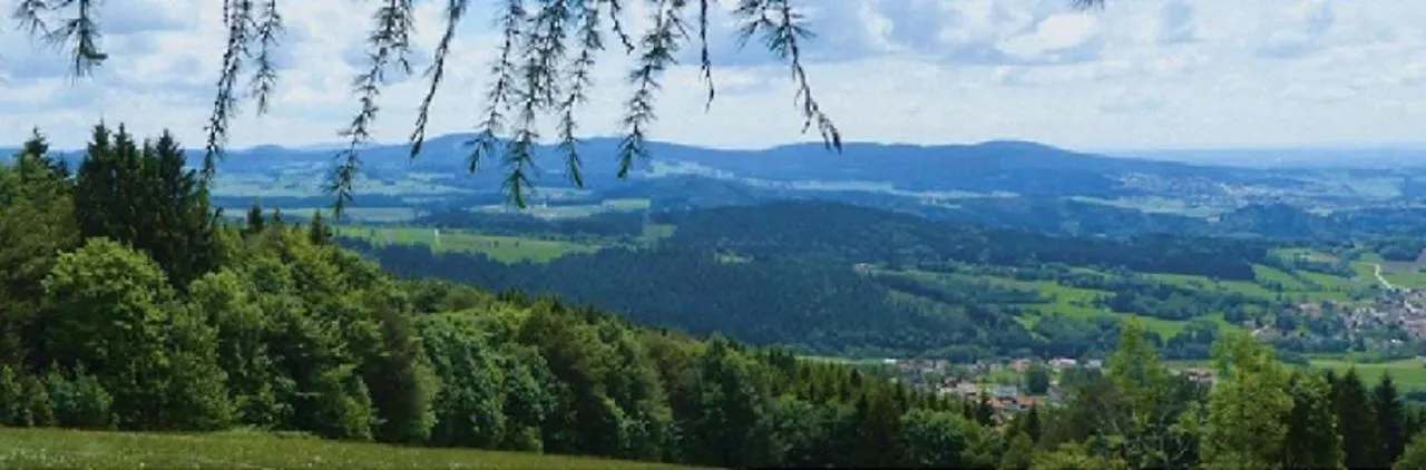 Apartment Traumblick Bayerischer Wald, Pool&Sauna, Getränke, Klimaanlage Freyung