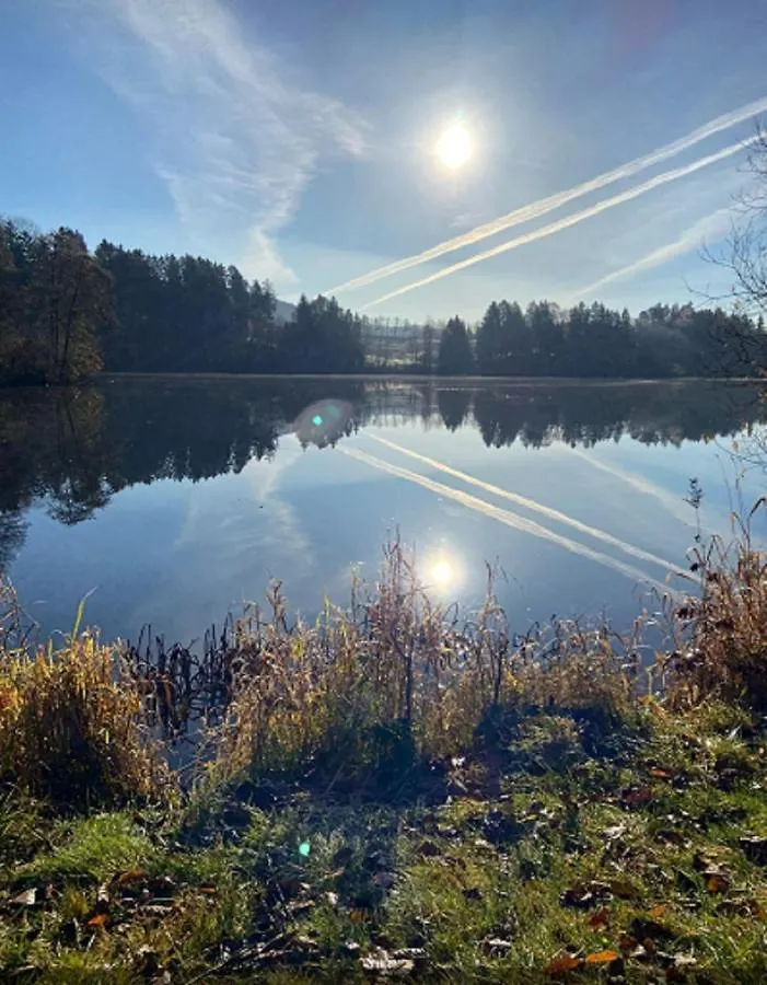 Traumblick Bayerischer Wald, Pool&Sauna, Getränke, Klimaanlage Freyung