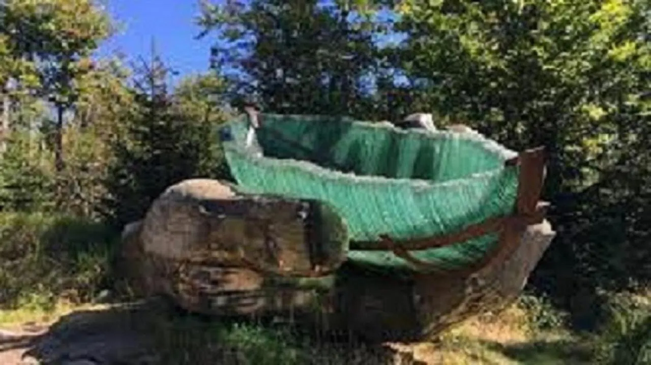 Traumblick Bayerischer Wald, Pool&Sauna, Getränke, Klimaanlage Freyung 0*,  Deutschland